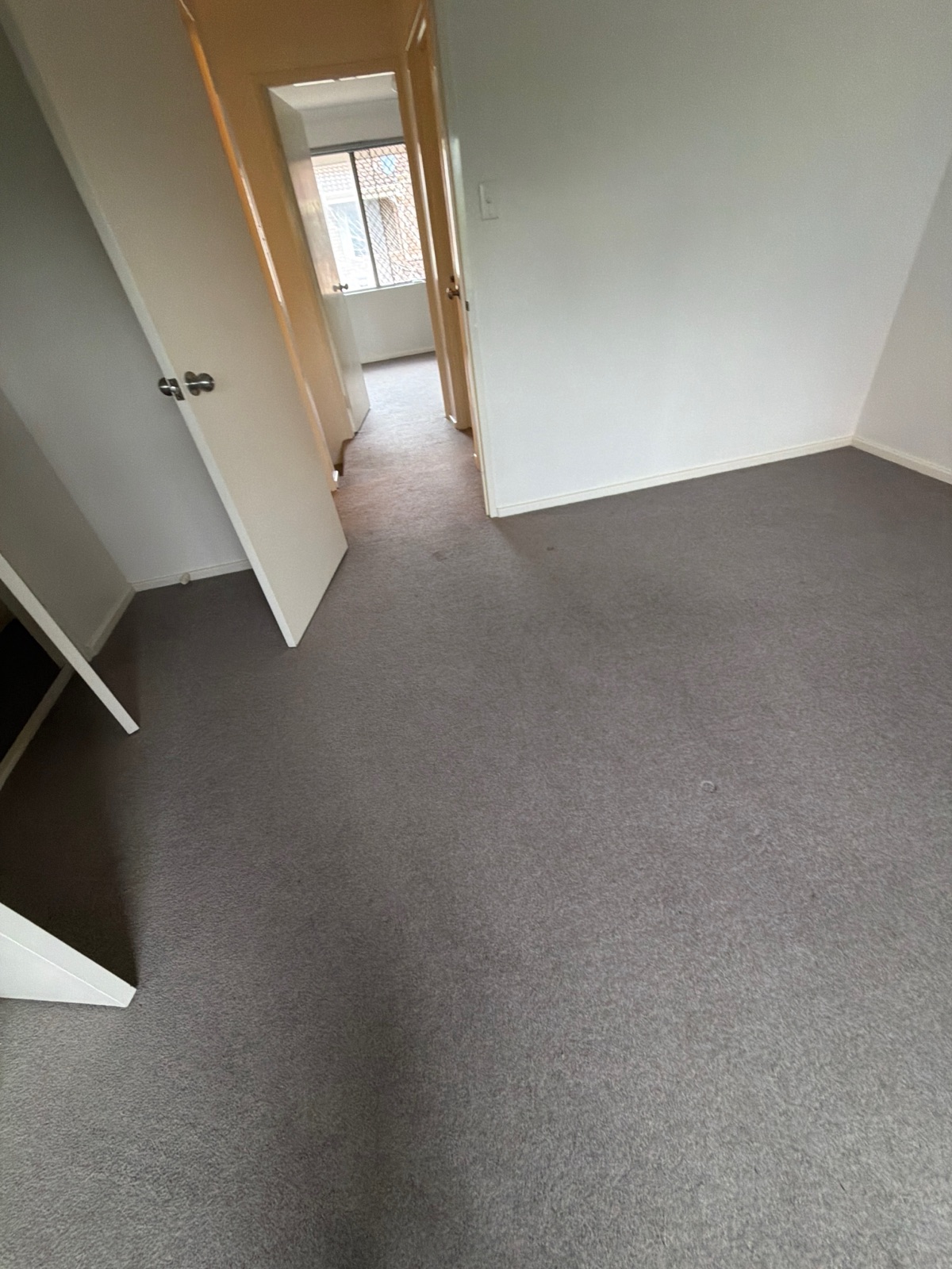 Carpet Steam Cleaning in Perth